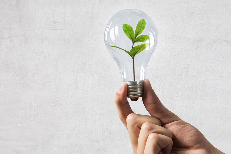 Hand hält Glühbirne mit Pflanze – Symbol für Energieeinsparung